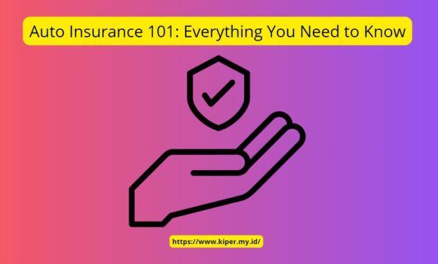 Auto Insurance 101 Everything You Need to Know 